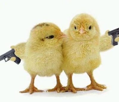 a visual pun of chicks with guns